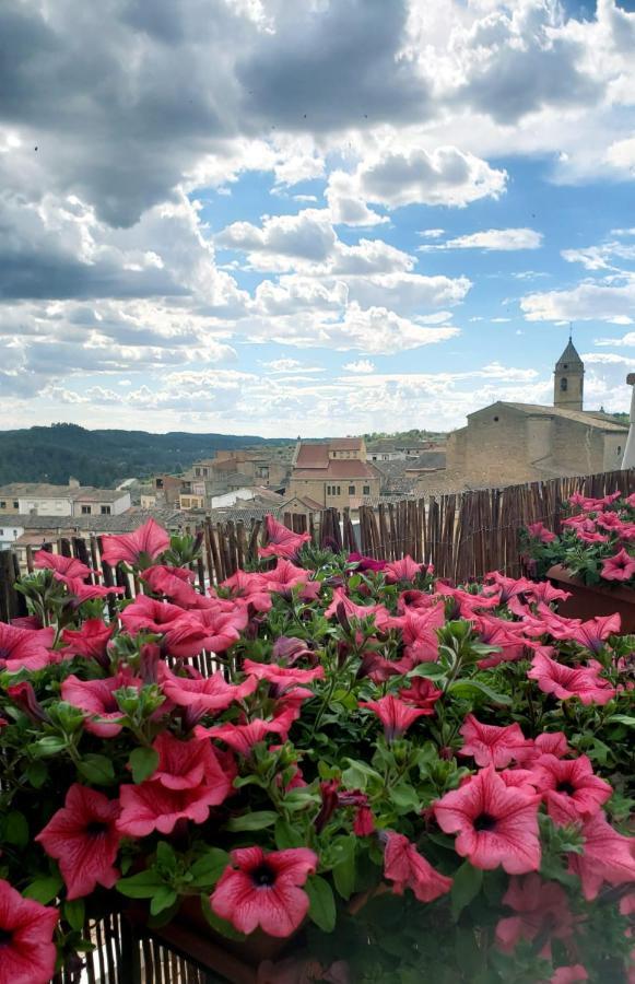 Espectacular Casa Rural Ca L'Esquerre Cerviá Exteriör bild